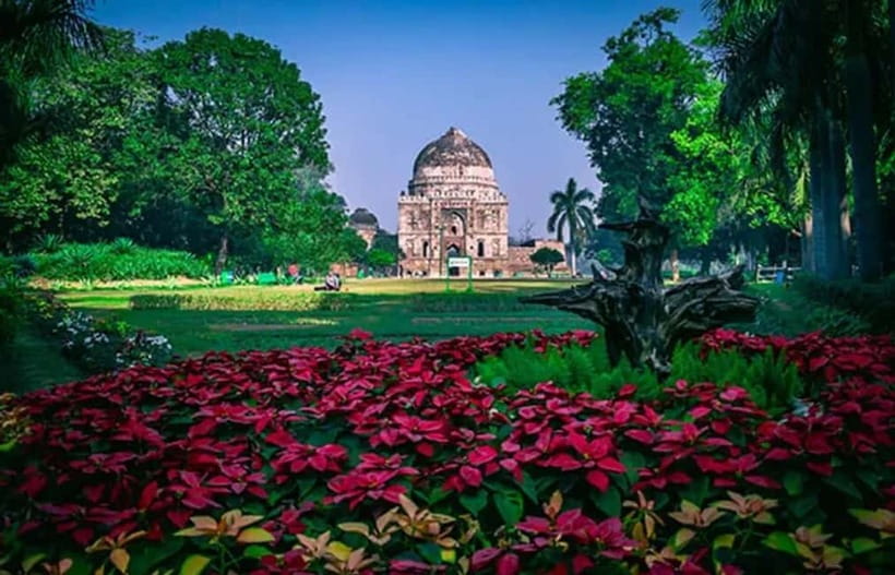 Delhi: Old & New Delhi Private Tour Full or Half-Day By Car - Price, Timing, and Practical Tips That Affect Your Comfort