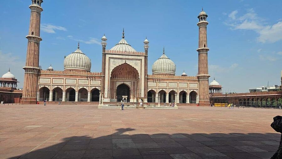 Delhi: Private Old and New Delhi Day Trip with Local Guide - Key highlights you will feel on the ground