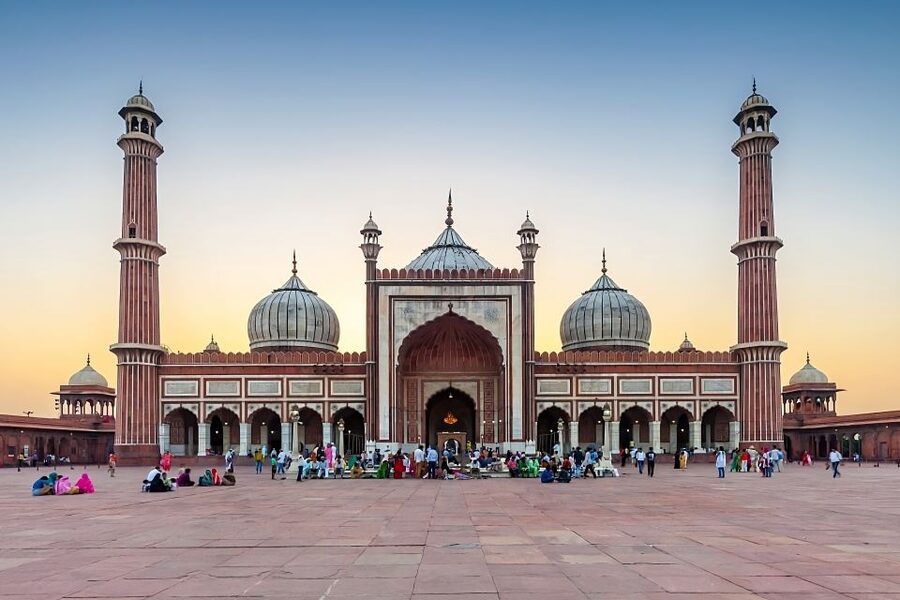 Delhi: Private Old & New Delhi Tour - Full or Half-Day tour - Price and Value: what $21 gets you in Delhi