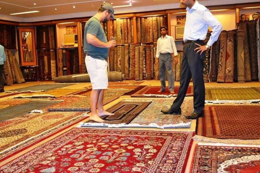 Delhi: Private Shopping Tour with Guide and Transfer - Dilli Haat and Golden Arcade for Carpets, Pashmina, and Handicrafts