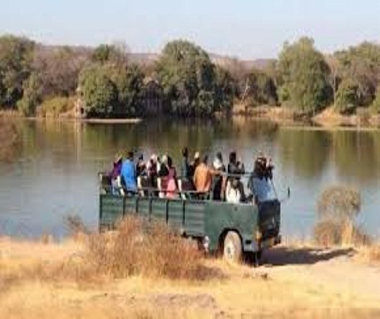 Delhi: Ranthambore National Park 3-Day Trip w/ Tiger Safari - Price and logistics: how $92 per person can feel like a good deal