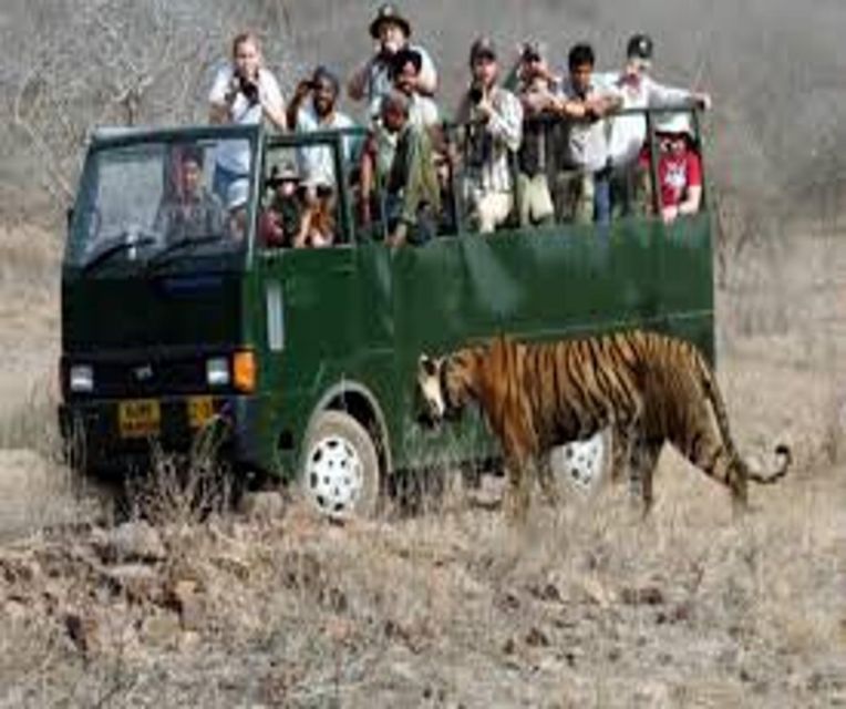 Delhi: Ranthambore National Park 3-Day Trip w/ Tiger Safari - Who should book this Ranthambore 3-day trip