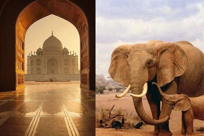 Delhi: Same Day Taj Mahal & Agra Fort Tour with Baby Taj & Lunch - Lunch at Courtyard Agra: when you’ll eat, what’s included, and what to watch