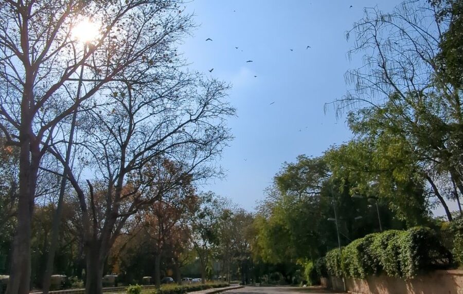 Delhi: Yoga in Lodhi Garden - Who should book this yoga session in Lodhi Gardens?