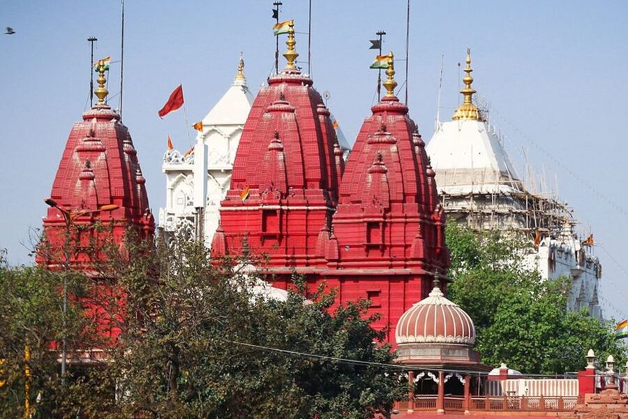 Divine Delhi: Explore Indian Faiths on a Cultural Tour - Sri Digambar Jain Lal Mandir and the Jain Birds Hospital