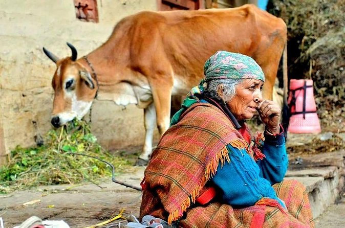 Food Tour With Cooking Class in Local Village from Delhi - What to Wear, What to Bring, and What to Expect in India-Style Hospitality