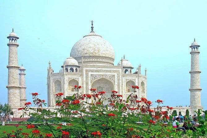From Delhi: 1-day trip Mathura with Elephant conservation - Who this trip is best for, and who should skip it