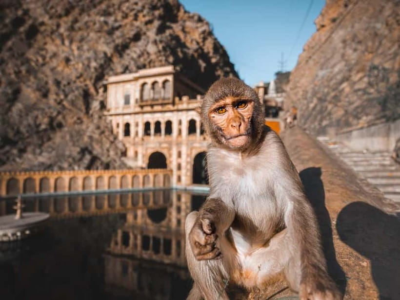 From Delhi: 2-Day Agra & Jaipur Golden Triangle Experience - Taj Mahal Without the Usual Headaches: Skip Lines and Get Oriented