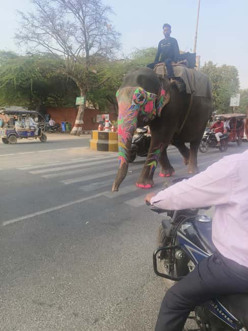 From Delhi: 3 Days Golden Triangle Tour - Who should book this Golden Triangle route from Delhi