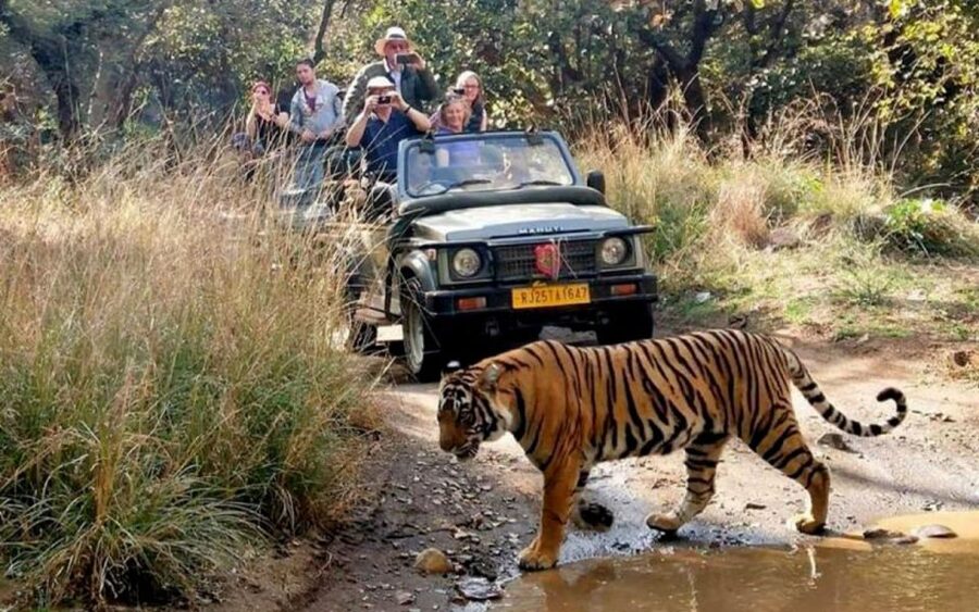 From Delhi: 6-Day Golden Triangle Tour with Ranthambore - Quick hits before you go