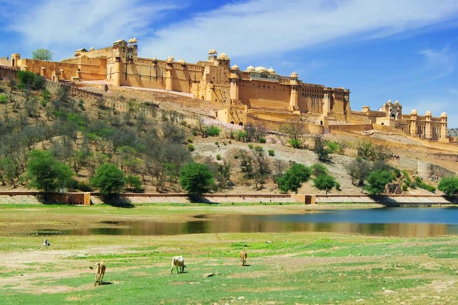From Delhi: 8-Day Golden Triangle Jodhpur Udaipur Tour - Delhi sightseeing, from Jama Masjid to Lotus Temple