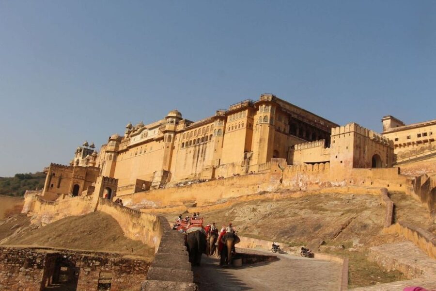 From Delhi: All-Inclusive Same-Day Jaipur Tour By Car Tour - The guide makes it, and the driver keeps it easy