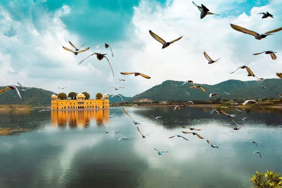 From Delhi: India's Golden Triangle Tour in 3 Days - Transport, guides, and the small details that make it feel personal