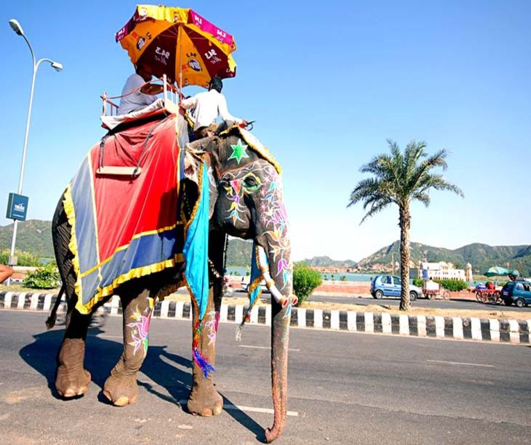 From Delhi: Private 2-Day Golden Triangle Agra & Jaipur Tour - Private driver, timing, and the solo traveler safety factor