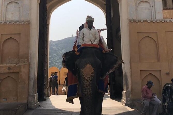 From Delhi: Private Jaipur Tour by Car - All Inclusive - The 12-hour rhythm: early pickup, drive time, and a smooth return