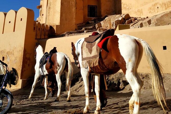 From Delhi: Private Jaipur Tour by Car - All Inclusive - AC car comfort and guide-driven value in one package