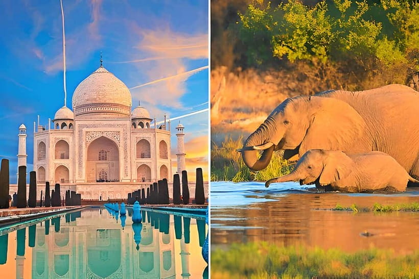 From Delhi: Sunrise Taj Mahal and Elephant Conservation Tour - Key highlights to look for