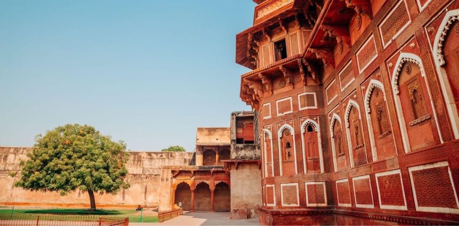 From Delhi: Taj Mahal & Agra Full Sameday Tour All Inclusive - Lunch Break at a Local Multi-Cuisine Restaurant, Built Into the Day