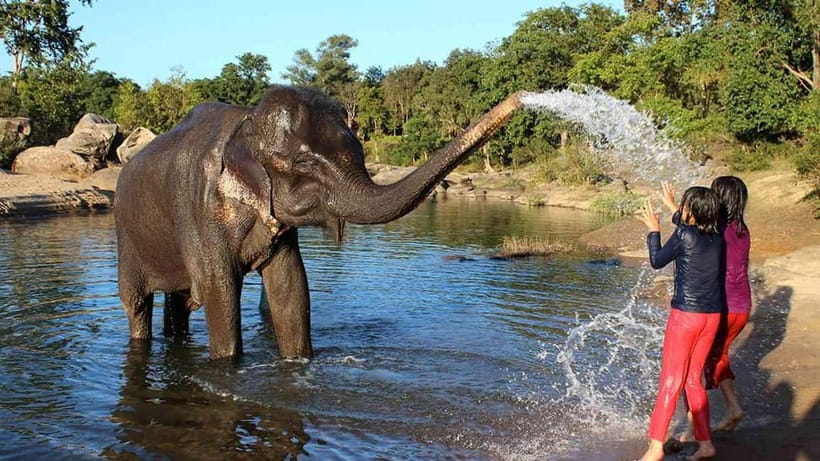 From Delhi: Taj Mahal Sunrise Tour w/ Elephant Conservation - A 13-hour plan that fits two icons and one mission