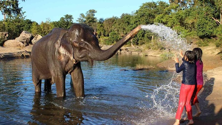 From Delhi: Taj Mahal Sunrise Tour w/ Elephant Conservation - Breakfast and lunch timing: how the 6:30 AM cutoff changes your day