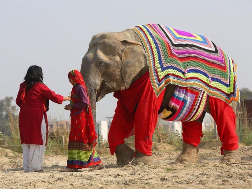 From Delhi: Taj Mahal with Photographer & Elephant SOS Tour - Agra Fort: A Different Side of Mughal Power