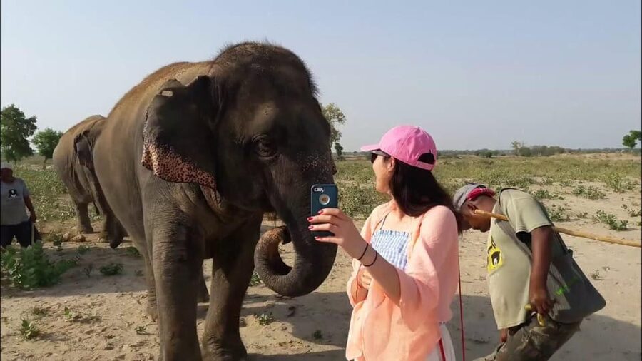 From Delhi: Taj Mahal with Photographer & Elephant SOS Tour - Wildlife SOS Elephant Care: What You Actually Get in 2 Hours