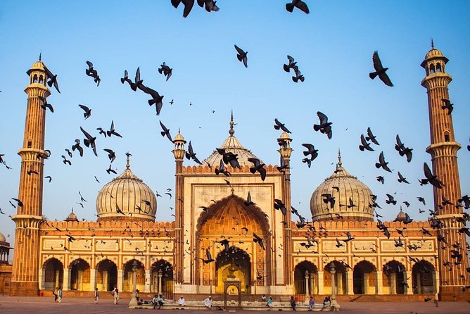 Full day Delhi tour with a Local - Private Delhi Day Tour - What this full day Delhi tour feels like, start to finish