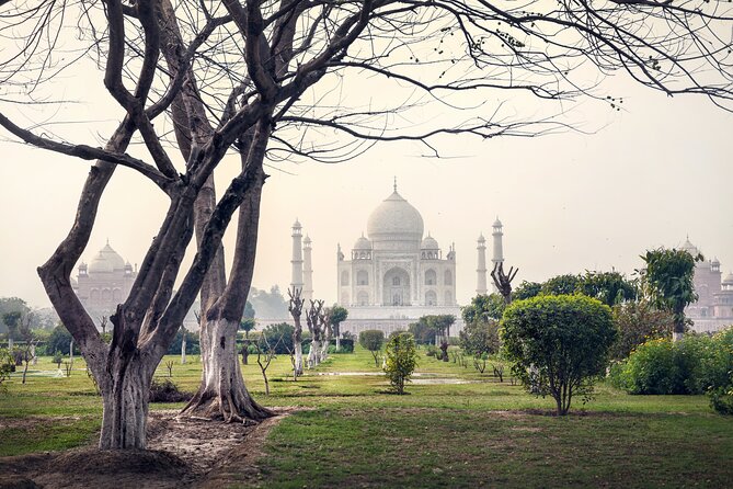 Golden Triangle Tour - Key highlights you’ll actually feel