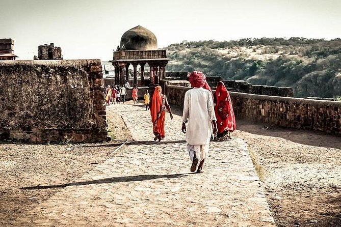 Golden Triangle Tour With Ranthambore (Viator Award Winner) - Price and Value: What $550 Per Person Covers Well