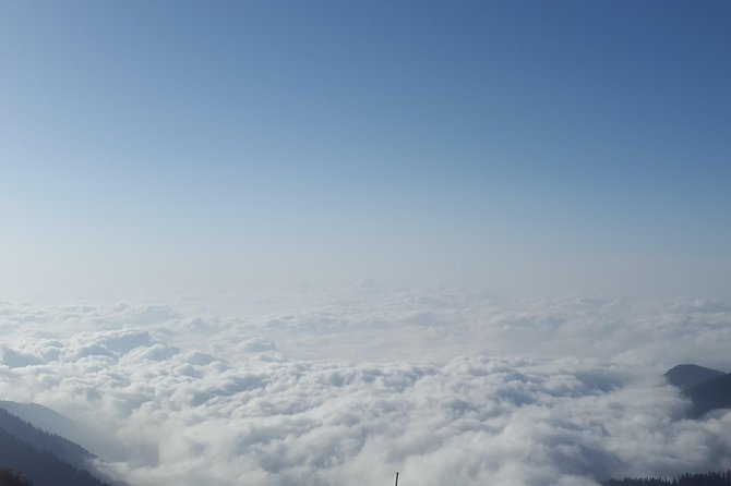 Himachal Tour Package - Shimla, done right: Mall Road, Christ Church, Jakhu Hill and Kufri
