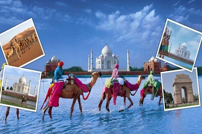 India's Best Seller-Taj Mahal and Agra Fort Tour From Delhi - Transport Comfort on a Long Day: What the Reviews Reveal