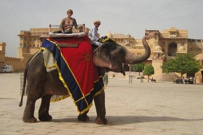 Jaipur Tour Pink City by Car From Delhi All Inclusive - Amber Fort for two hours: the hilltop fort that feels like a whole world