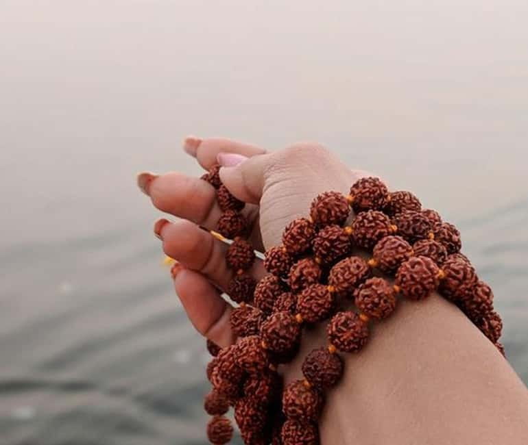 Magical Mathura Vrindavan Tour: Krishna's Homeland - Price and value for a Mathura and Vrindavan day trip around $46