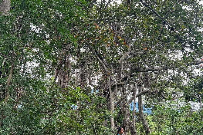 Moderate Himalayan Treks Near Rishikesh From Delhi - Your Overnight Base: Budget Hotel Comfort That Gets the Job Done