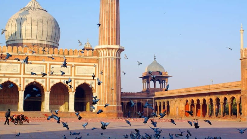 Old and New Delhi Private Full or Half Day Tour Upto 8 Hours - Price and Value at About $14, Plus What Costs Extra