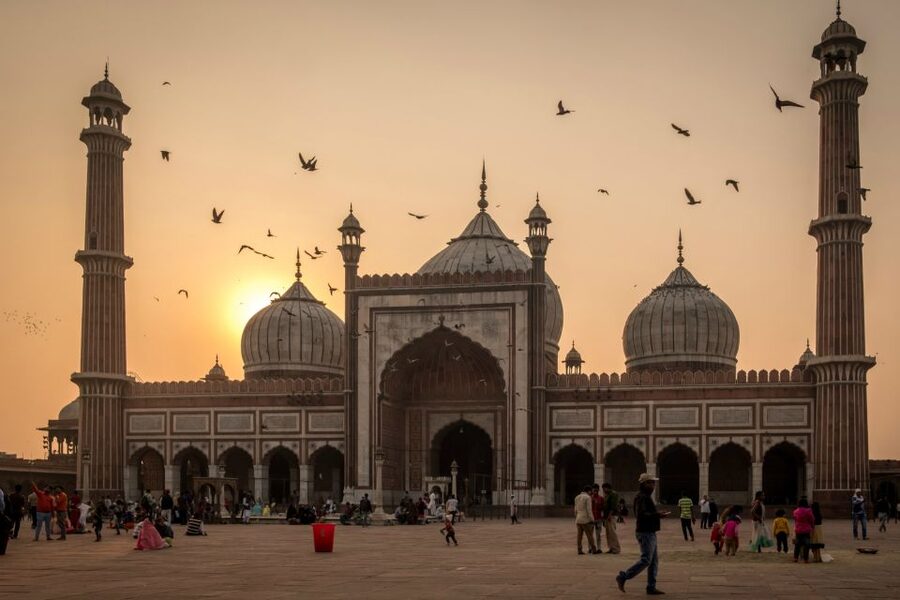 Old Delhi: 3-Hour Tuk-Tuk/Rickshaw Tour - Jain Mandir and the Charitable Hospital for Birds Finish