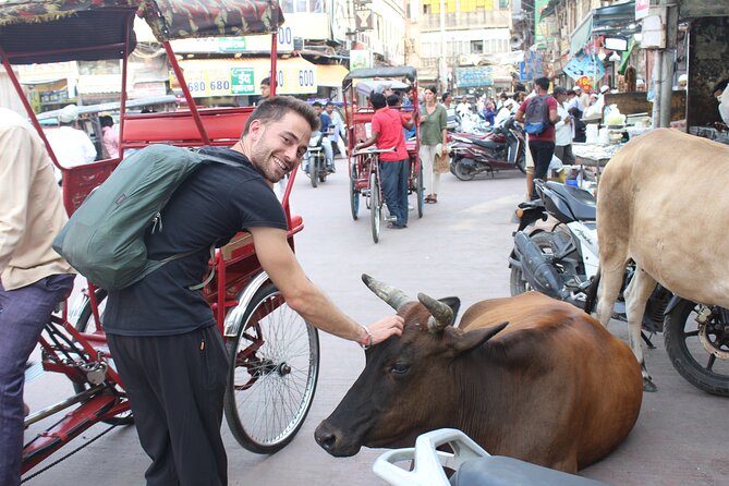 Old Delhi Food Tour Safari - The Capital of Flavors - Chandni Chowk lanes and Naughara: seeing the market without getting lost