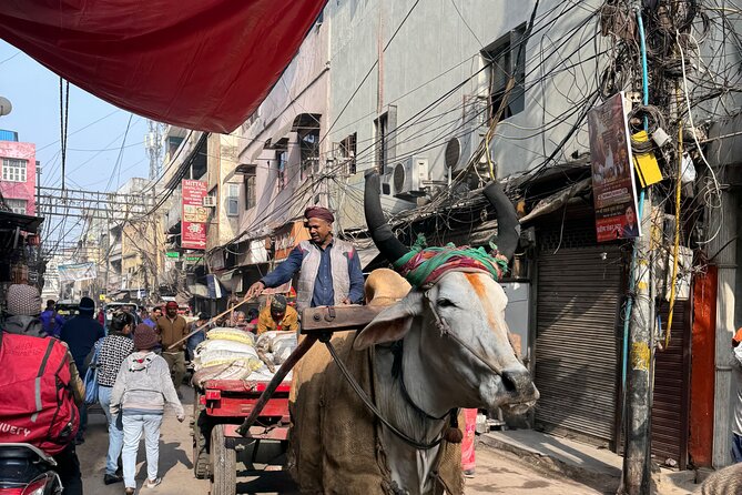 Old Delhi Heritage Food Walk - Why Old Delhi Heritage Food Walk feels like a real city, not a food show