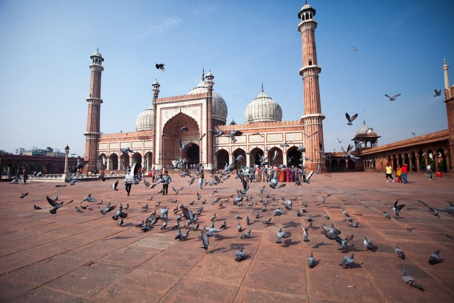 Old & New Delhi City Tour – Half or Full Day Options - First, pick the right option: 4 hours or a full day