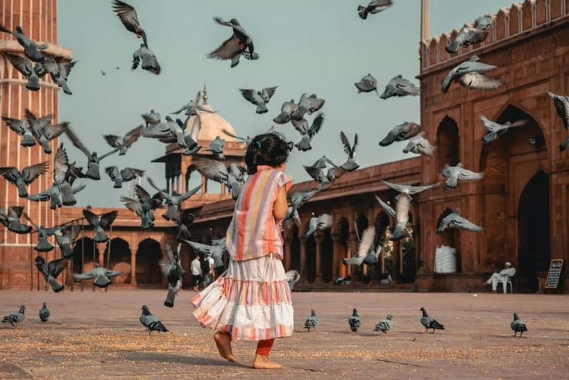 Old & New Delhi Culture & Architecture City Private Tour - Price and Value for $26, Why This Feels Efficient