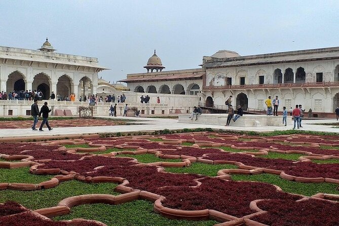 Platinum Luxury Agra Tour Taj Mahal, Agra Fort from Delhi by Car - Should you book it? My take