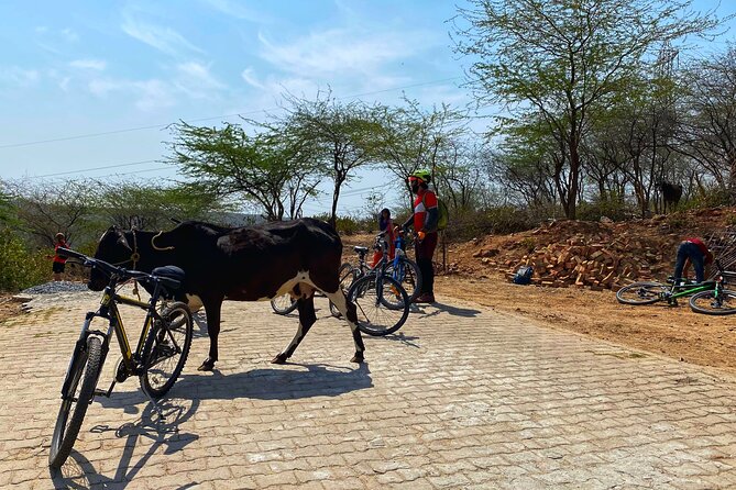 Premium Delhi Aravalli Organic Cycle Tour - A glimpse of Real and Rural India - From Qutub Minar to the Aravalli: what the start feels like