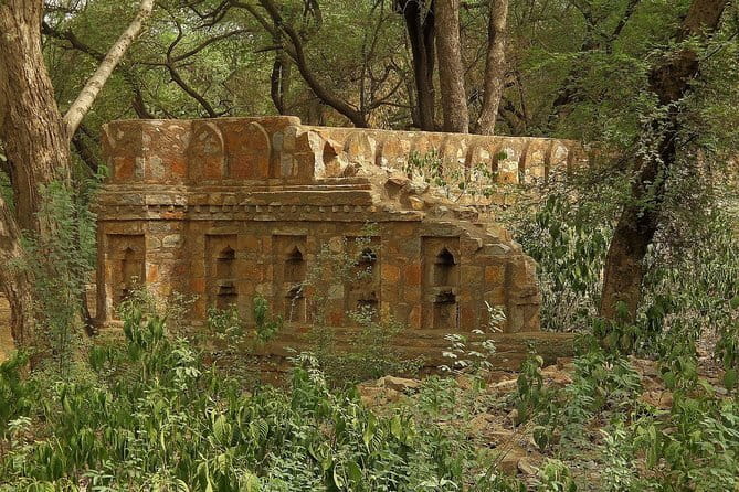Private 4-Day Tiger Safari & Golden Triangle Tour from Delhi - Guides, Tickets, and Small Details That Change Your Day