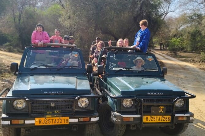 Private 4-Day Tiger Safari & Golden Triangle Tour from Delhi - Who This Tour Fits Best (and Who Might Want a Different Style)