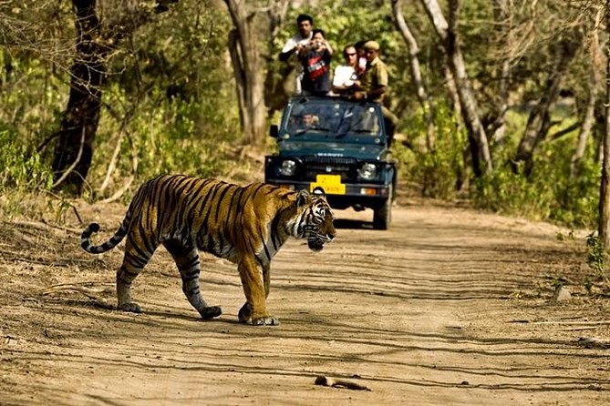 Private 5-Day Ranthambhore Tiger Tour from Delhi including the Taj Mahal, Agra and Jaipur - Day 2: Taj Mahal sunrise, Agra Fort, then the long road to Ranthambore