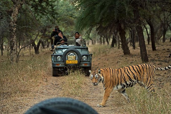 Private 6-Day Ranthambhore Tiger Tour including Delhi, Agra and Jaipur - Delhi at 9:00 am: Humayun’s Tomb, Qutub Minar, and the city’s power landmarks