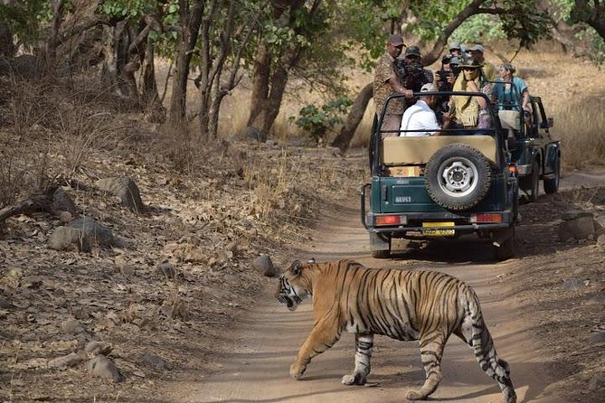 Private 6-Day Ranthambhore Tiger Tour including Delhi, Agra and Jaipur - Agra sunrise at the Taj Mahal, plus Agra Fort and the Baby Taj