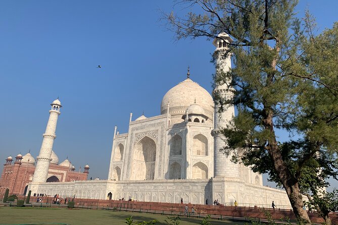 Private Agra Tour - Taj Mahal, Agra Fort & Baby Taj (Daytrip from Delhi) - The guide and Dharmender effect: what “private” actually changes