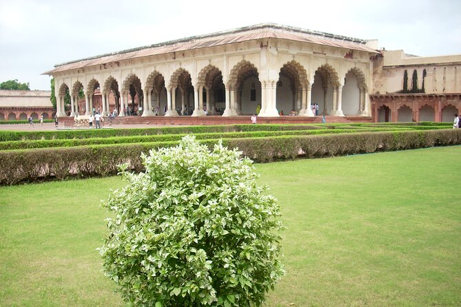 Private Agra Tour - Taj Mahal, Agra Fort & Baby Taj (Daytrip from Delhi) - Agra Fort: more than walls, it is Mughal power in stone