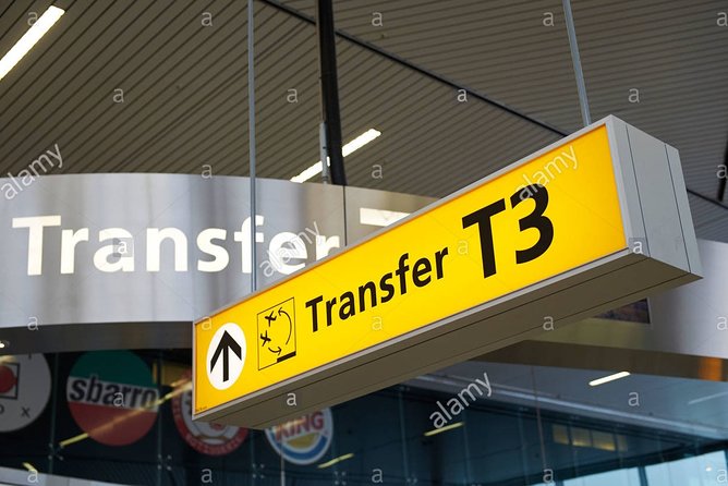 Private Arrivals From New Delhi Airport - Who this transfer is best for